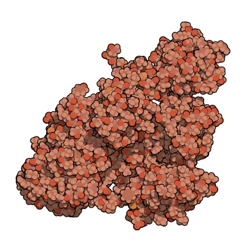Biochemistry Conferences