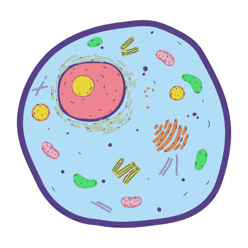 Biochemistry Conferences